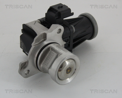 AGR - Ventil TRISCAN