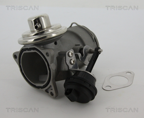 AGR - Ventil TRISCAN