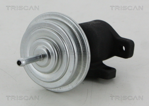AGR - Ventil TRISCAN