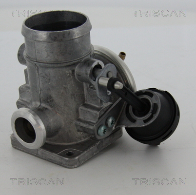 AGR - Ventil TRISCAN