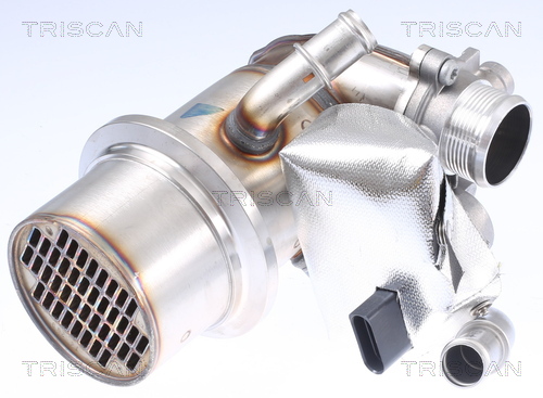 AGR - Ventil TRISCAN