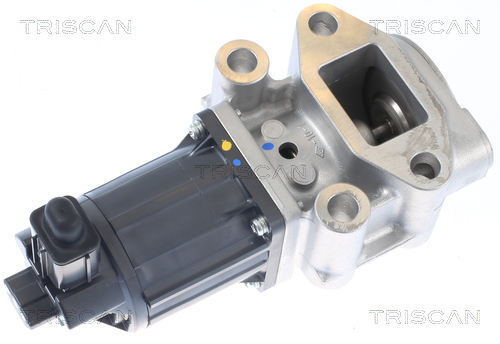 AGR - Ventil TRISCAN