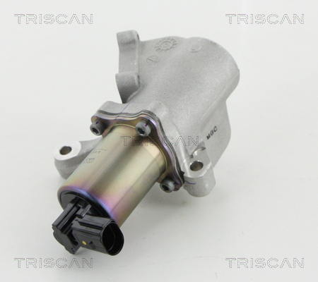 AGR - Ventil TRISCAN