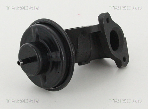 AGR - Ventil TRISCAN