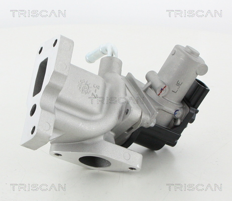AGR - Ventil TRISCAN