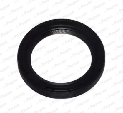 Shaft Seal, crankshaft PAYEN