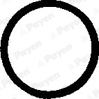 Tesnenie skrutiek krytu hlavy valcov PAYEN