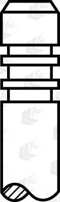 Výpustný ventil AE