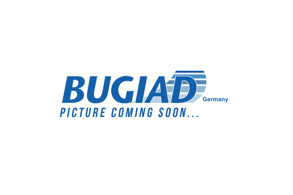 Hadica plniaceho vzduchu BUGIAD