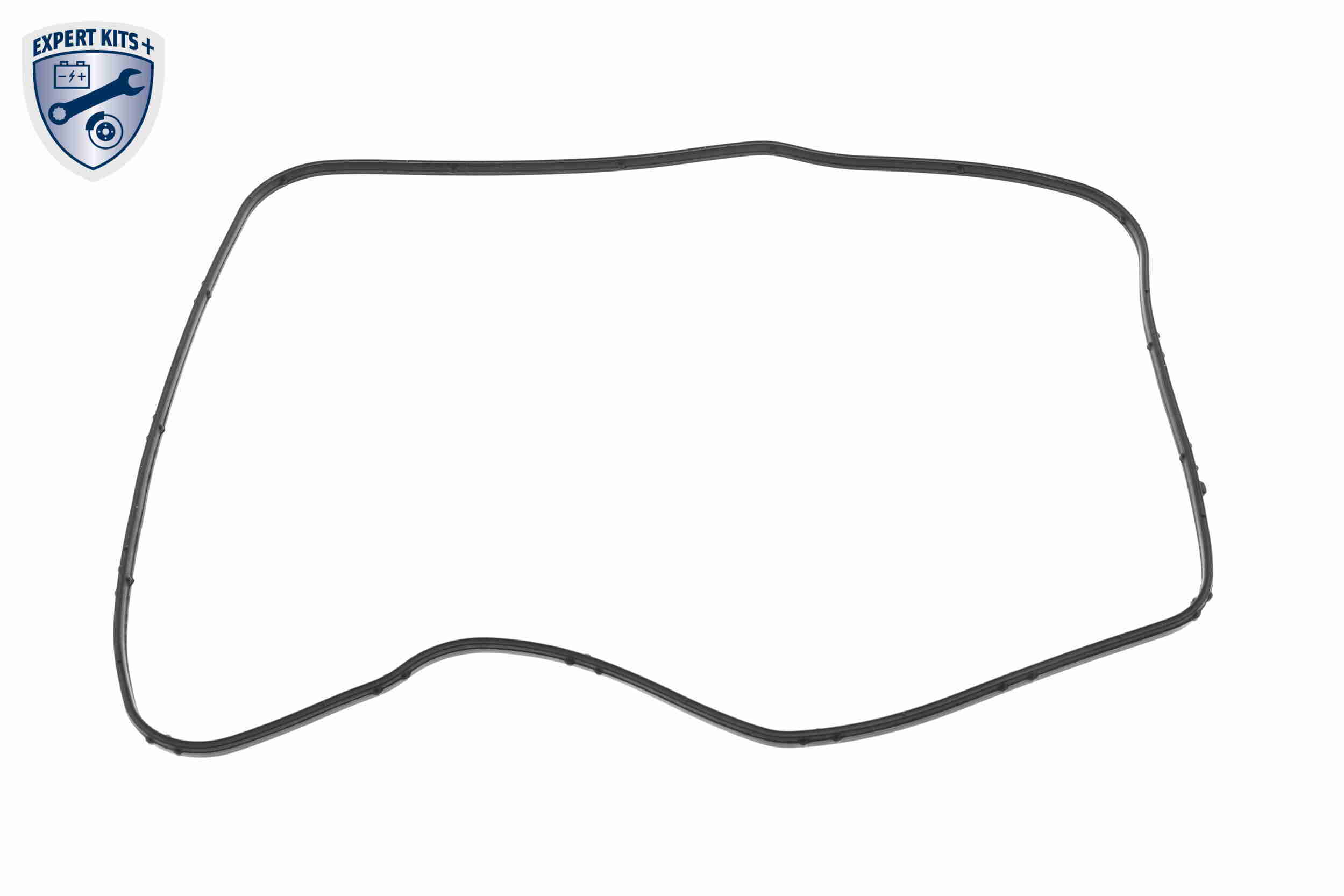 Tesnenie automatickej prevodovky VAICO