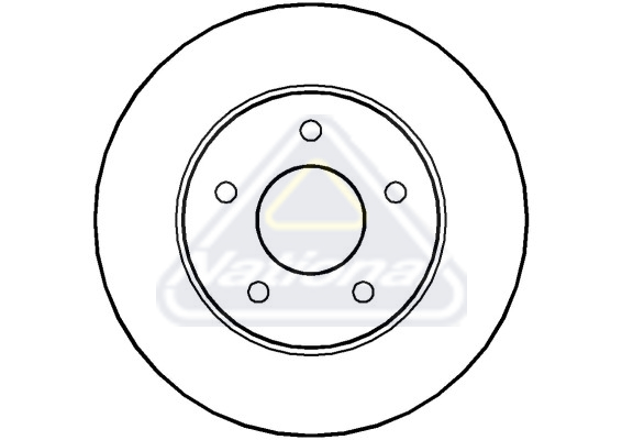 Brzdový kotúč National Auto Parts