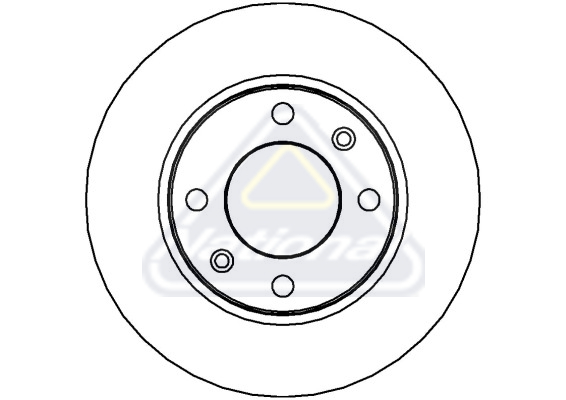 Brzdový kotúč National Auto Parts
