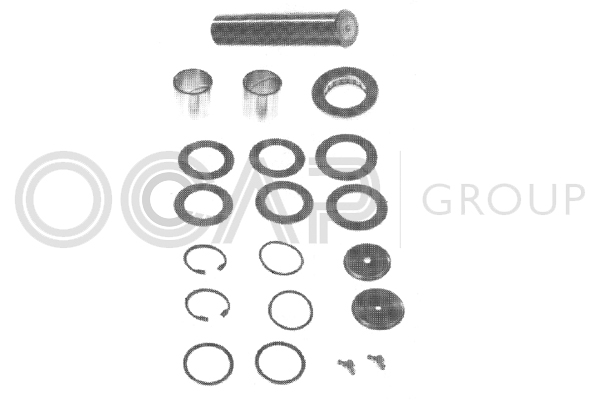 Opravná sada zvislého čapu nápravy OCAP