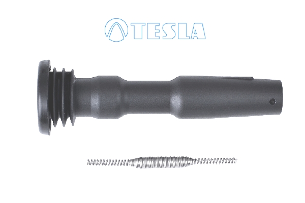 Plug, spark plug TESLA