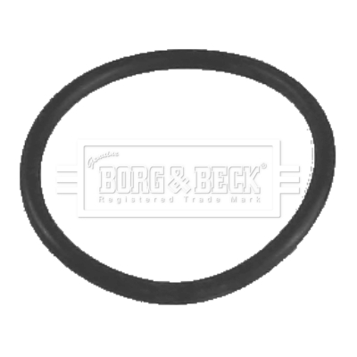 Termostat chladenia BORG & BECK