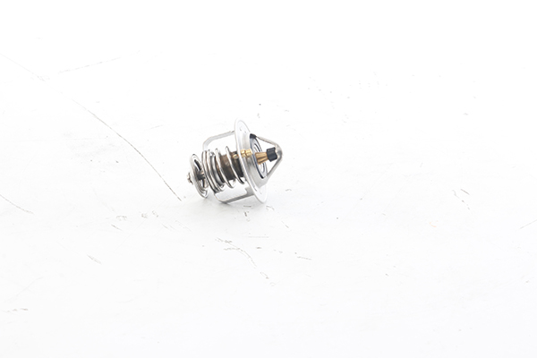 Termostat chladenia BSG