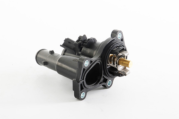 Termostat chladenia BSG