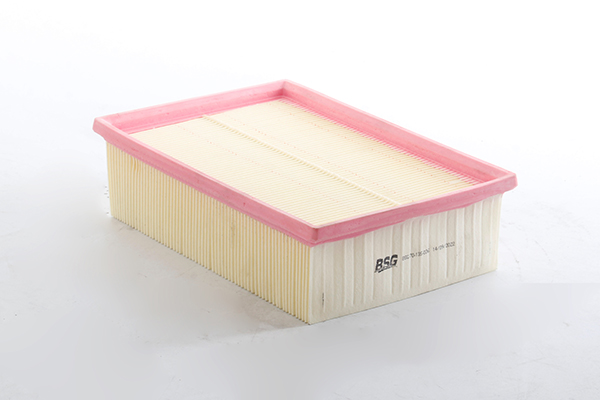 Vzduchový filter BSG