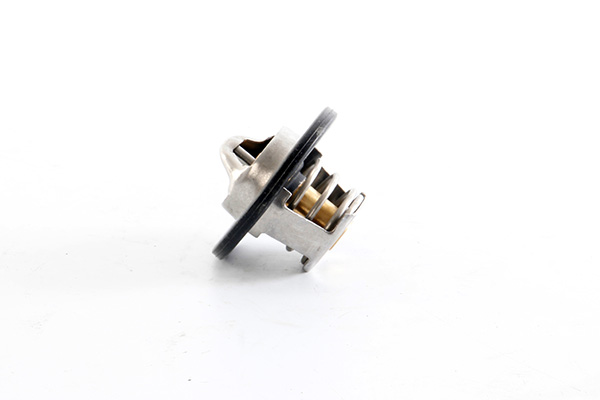 Termostat chladenia BSG