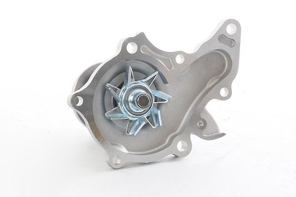 Vodné čerpadlo, chladenie motora BSG