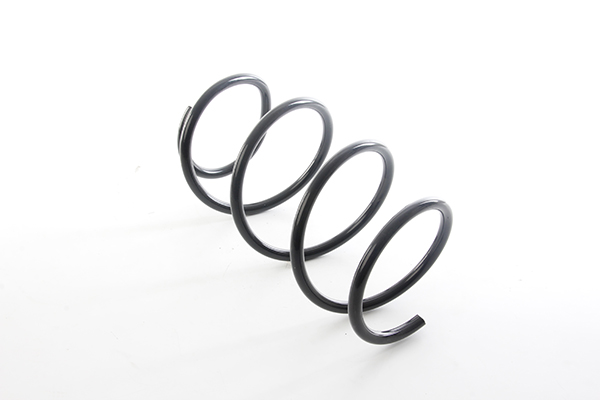 Prużina podvozku BSG