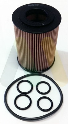 Olejový filter Motaquip Limited