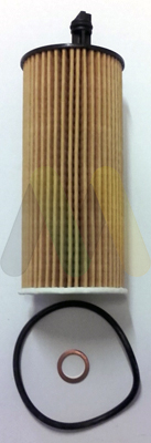 Olejový filter Motaquip Limited