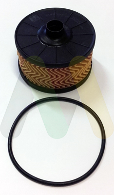 Olejový filter Motaquip Limited