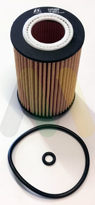 Olejový filter Motaquip Limited