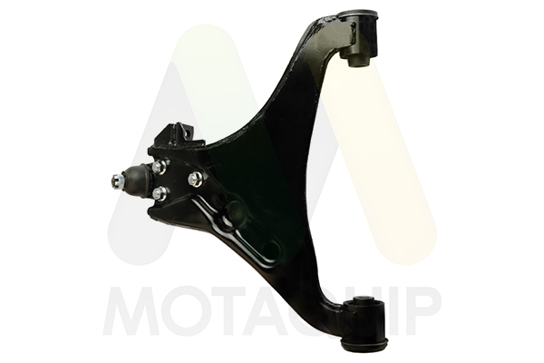 Rameno zavesenia kolies Motaquip Limited