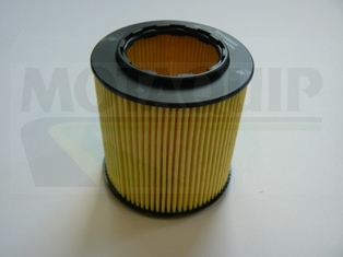 Olejový filter Motaquip Limited