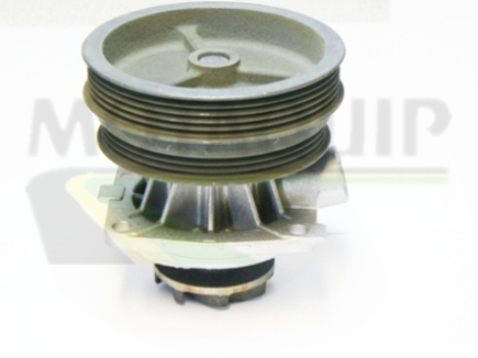 Vodné čerpadlo, chladenie motora Motaquip Limited