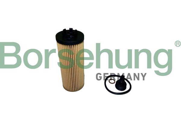 Olejový filter Borsehung