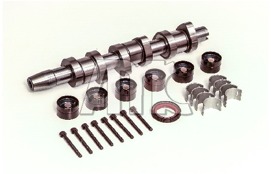 Camshaft Kit Wilmink B.V.