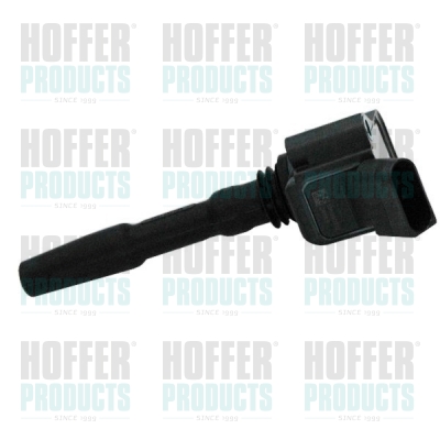 Ignition Coil Wilmink B.V.