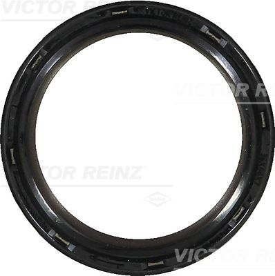 Shaft Seal, camshaft Wilmink B.V.
