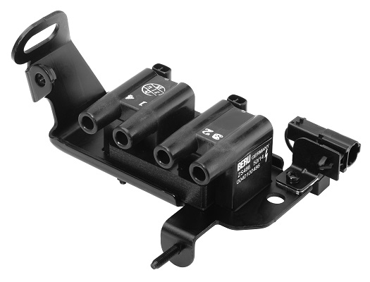 Zapaľovacia cievka Wilmink B.V.