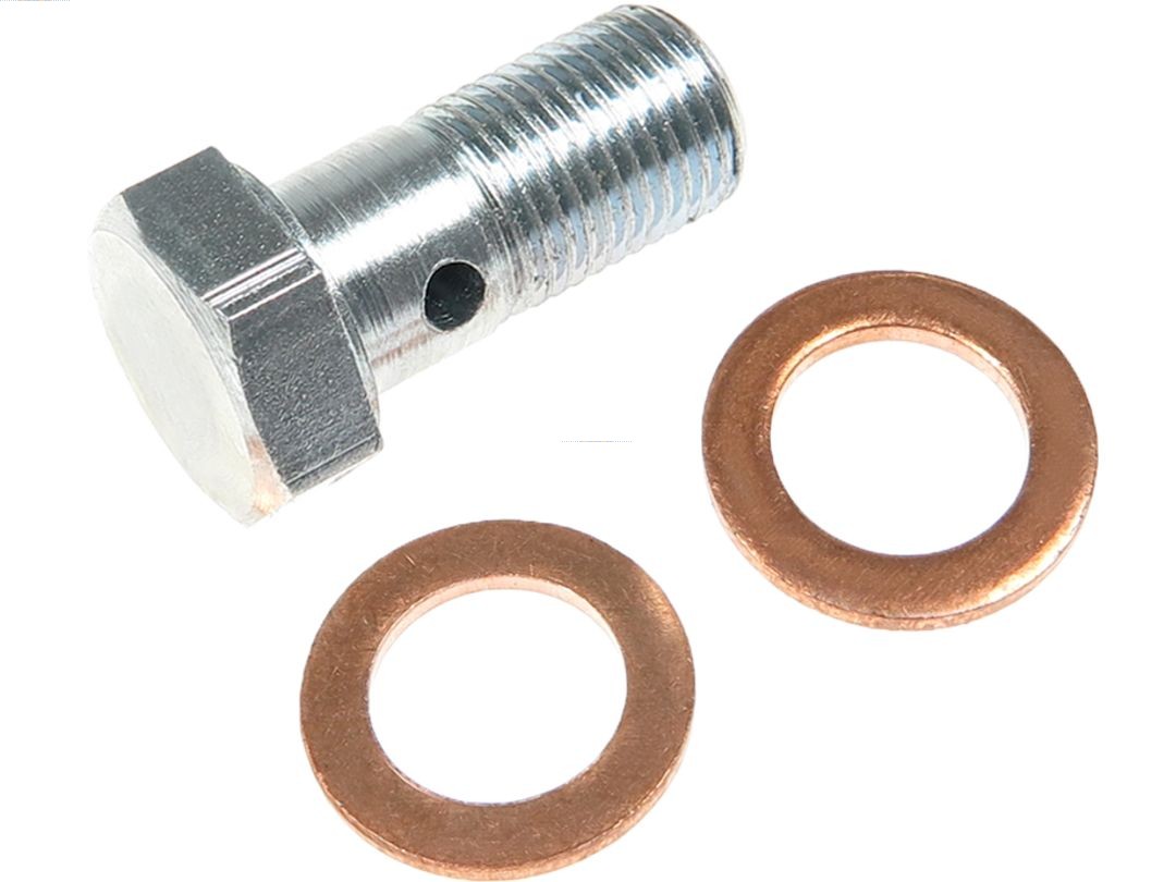 Opravná sada podtlakového čerpadla (brzdy) AS-PL