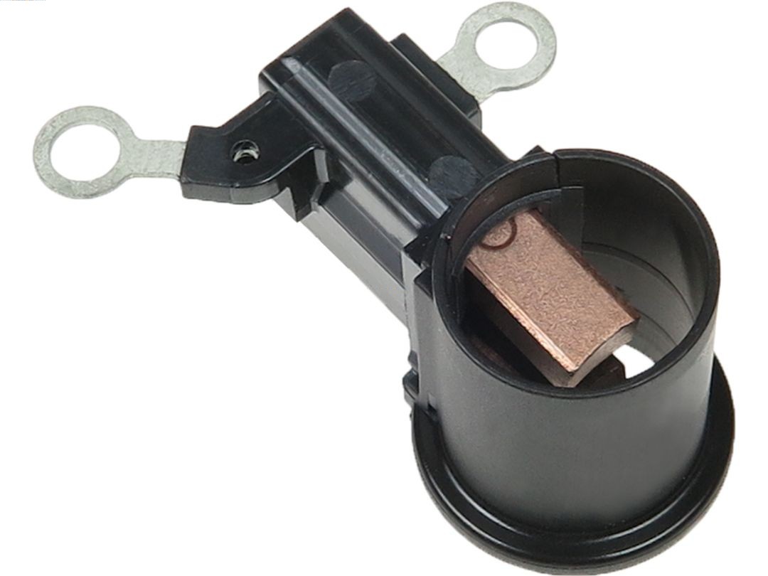 Drżiak uhlíkov AS-PL