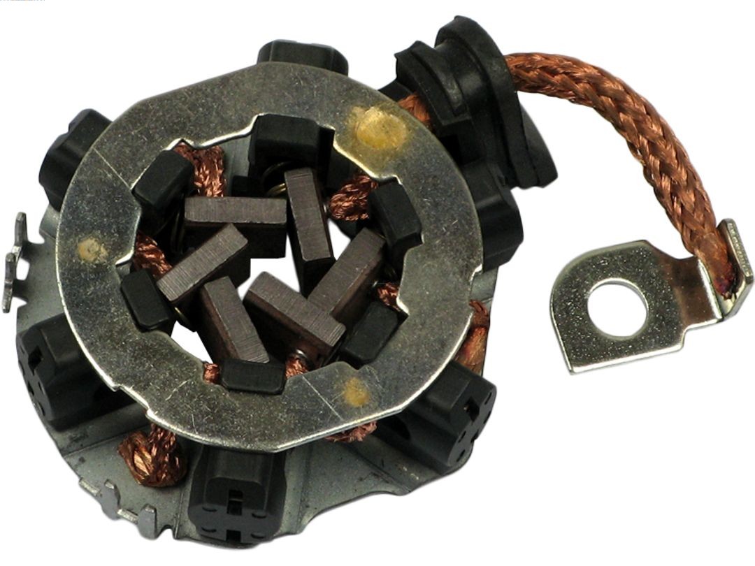 Drżiak uhlíkov AS-PL