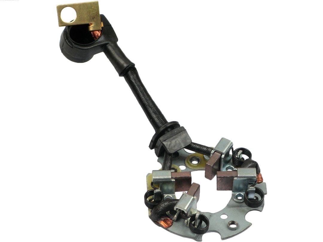 Drżiak uhlíkov AS-PL