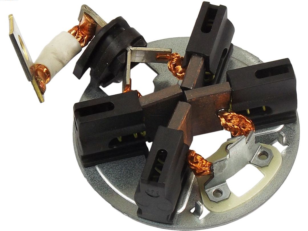 Drżiak uhlíkov AS-PL