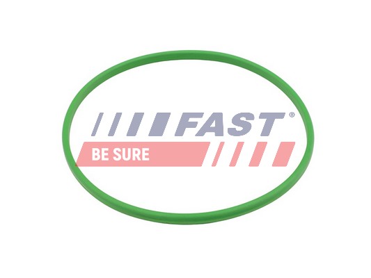 Tesnenie, Palivové čerpadlo FAST