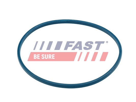 Tesnenie, Plniace hrdlo palivovej nádrże FAST