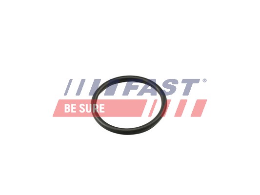 Tesnenie termostatu FAST