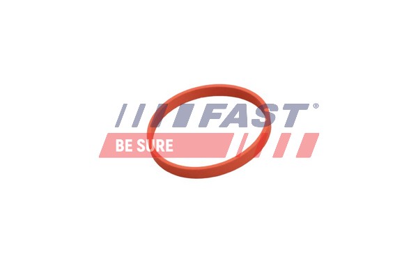 Tesnenie, AGR-Ventil FAST