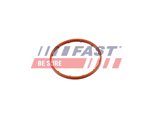 Tesnenie vákuového čerpadla FAST