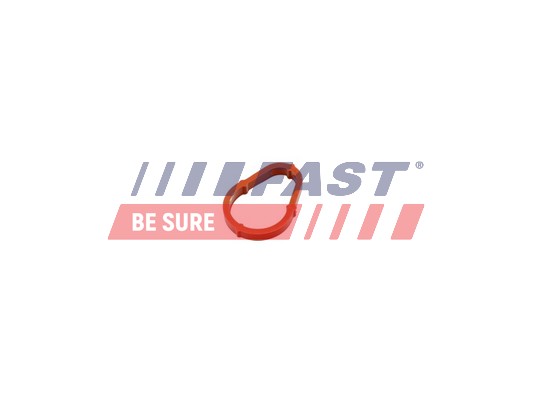 Tesnenie vákuového čerpadla FAST