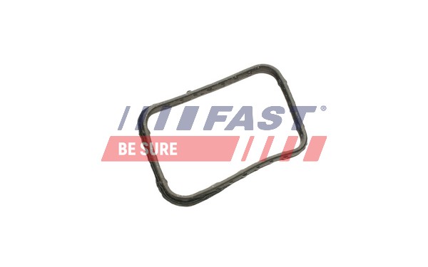 Tesnenie termostatu FAST