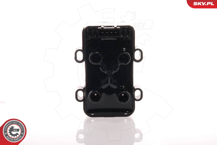 Zapaľovacia cievka ESEN SKV